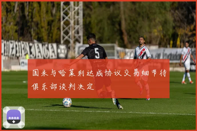 国米与哈莱利达成协议交易细节待俱乐部谈判决定